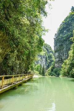 青山绿水