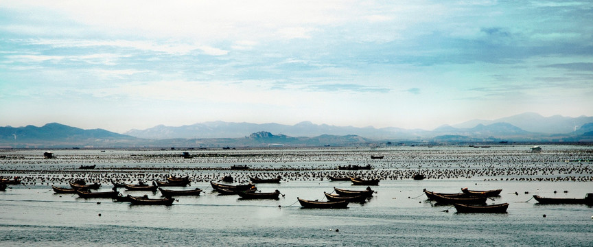 海上牧场