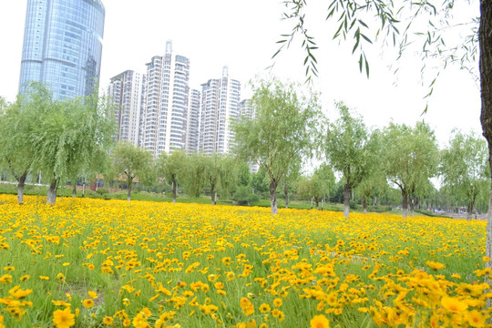 公园景观