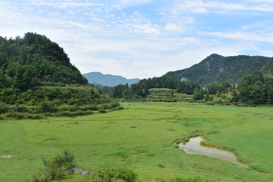 草原美景