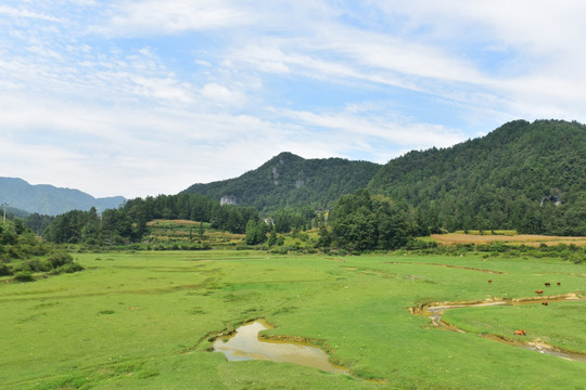 草原美丽风光