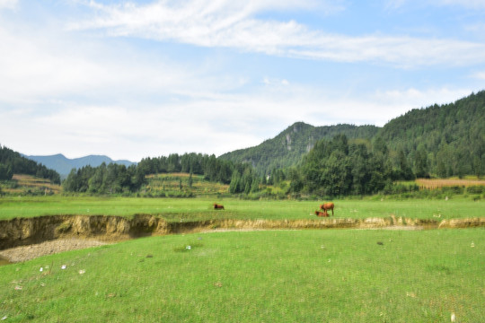 草原风景