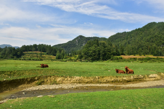 草原坝上