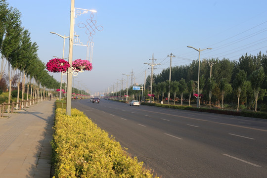 城市道路