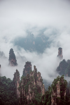 张家界天子山