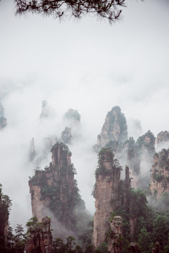 张家界天子山