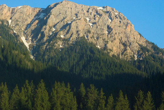 高山