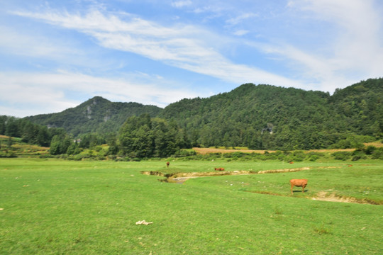 田园美丽景色