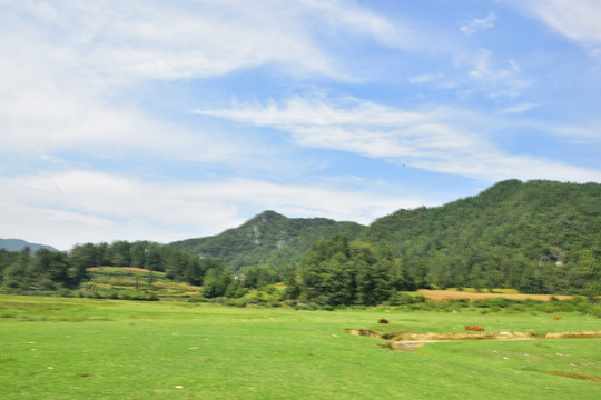 田园美丽景色