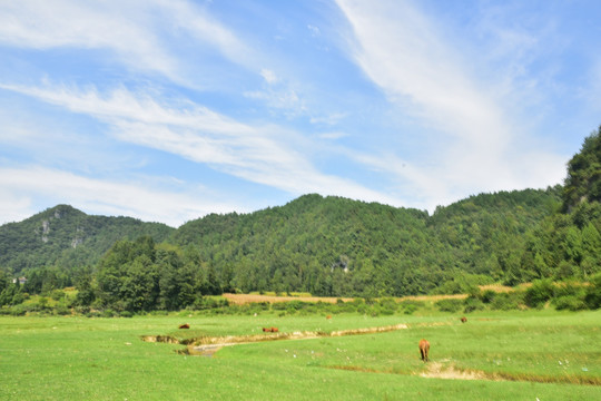 田园美丽景色