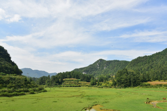 田园美丽风景