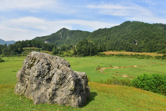 田园美丽风景