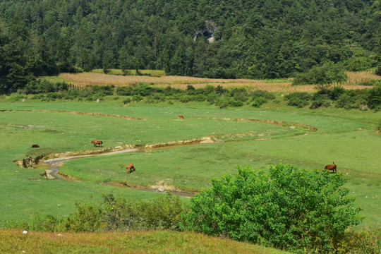 田园美丽风景