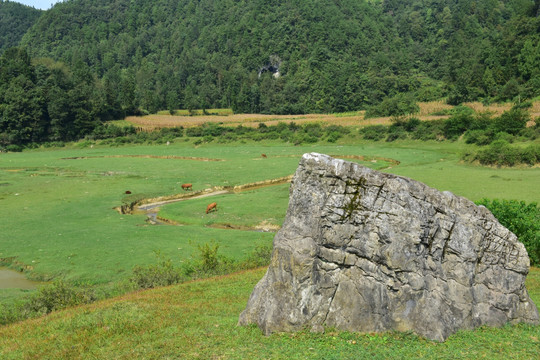 田园美丽风景