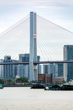 杨浦大桥