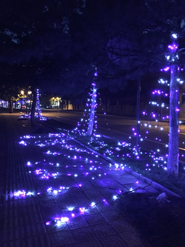 夜景霓虹灯 