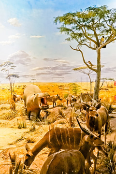史前动物场景模拟 非洲羚羊