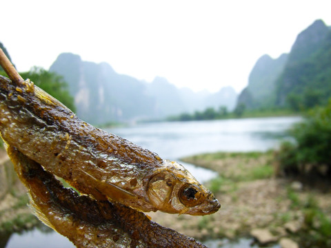 漓江油炸小鱼