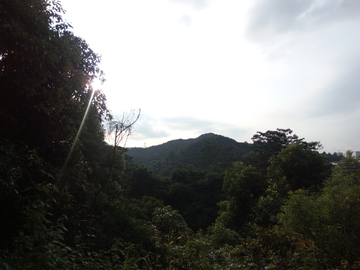 羊台山风景