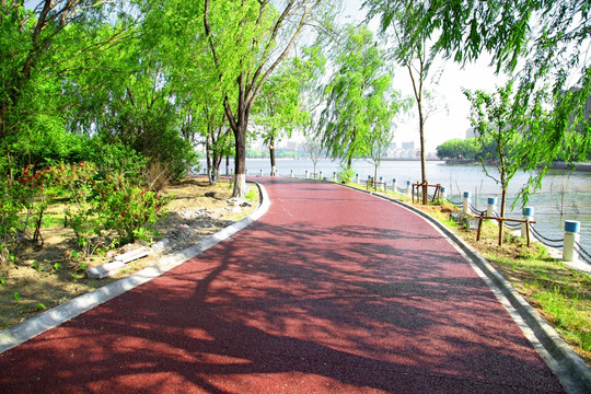 道路 塑胶跑道 公园