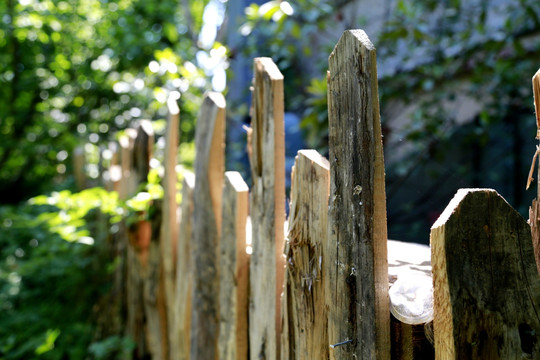篱笆 木篱笆 木篱 篱墙 围栏