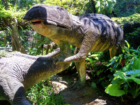 恐龙角斗 恐龙化石 恐龙雕塑