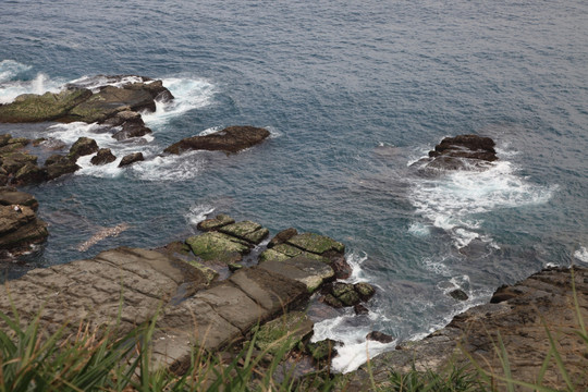 海岸