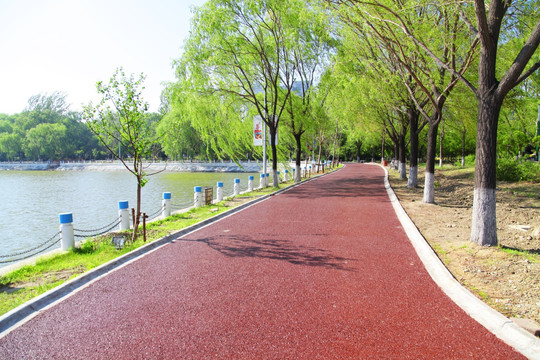 公园跑道 塑胶跑道