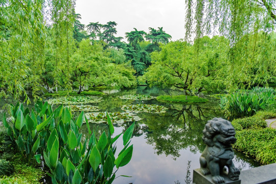 西湖万柳塘