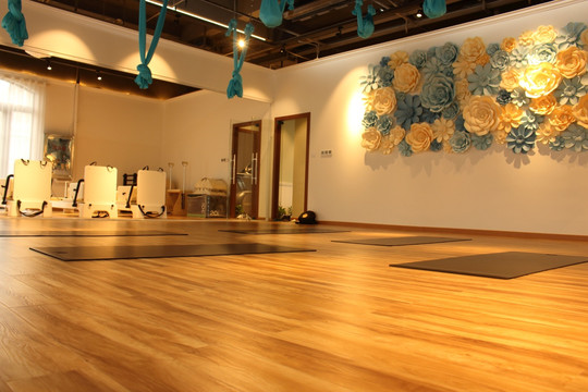 瑜伽馆 瑜伽室 瑜伽 瑜伽垫