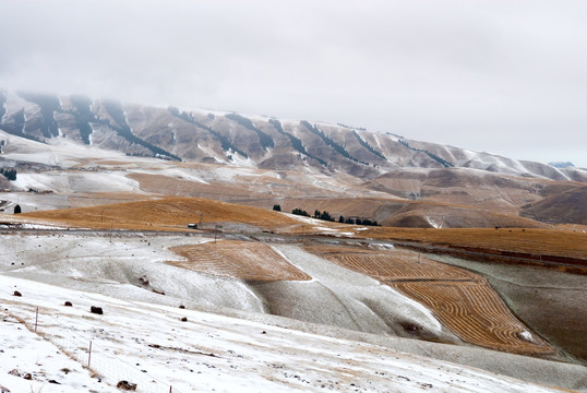 极端天气后江布拉克绝美新疆景色