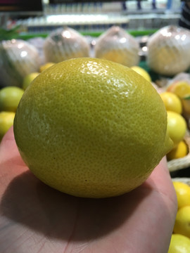 柠檬 一个柠檬