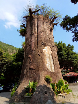 大树树干 古树景观雕塑 根雕