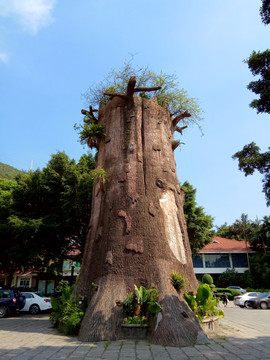 大树树干 古树景观雕塑 根雕