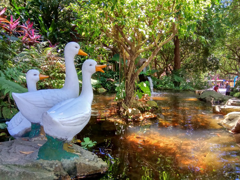 小鹅 鹅雕塑 池塘 白天鹅雕塑