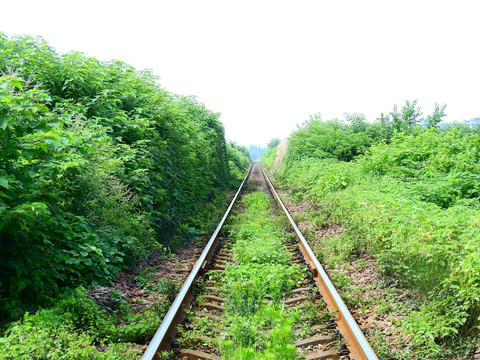 铁路摄影