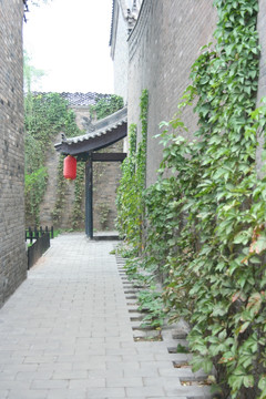 大院