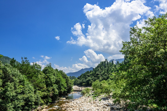 山中溪流