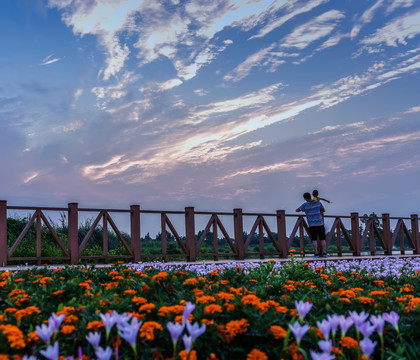 湖边 夕阳 休闲 晚霞