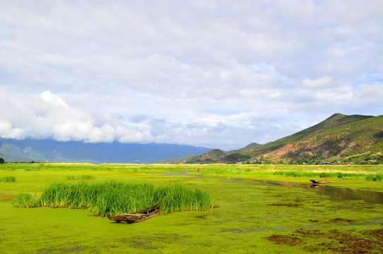 泸沽湖草海