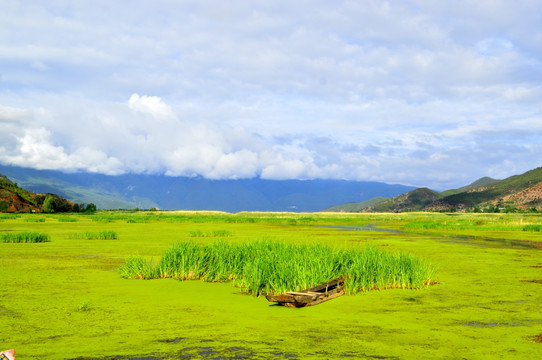 泸沽湖草海