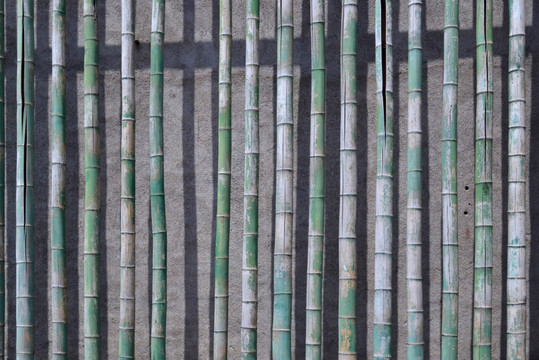 竹杆背景墙