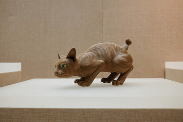 陶猫