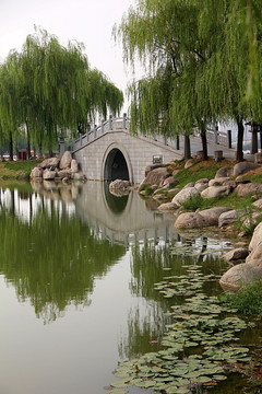 西安 曲江池 公园 中式园林