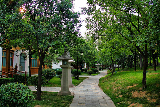 西安 曲江池 公园 中式园林