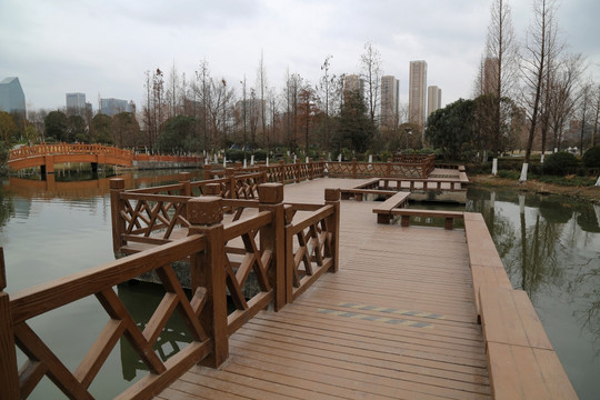 城市 园林 湖中 石桥