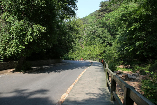 辽宁鞍山 千山风景 林间小路