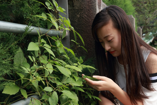 在看一片树叶的女大学生