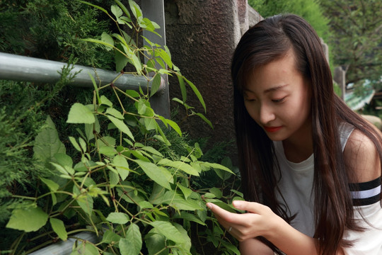 看着一片绿叶的女学生