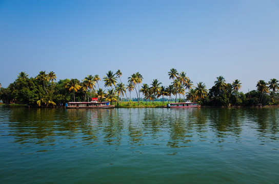 南印度 回水巡游